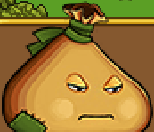Bag Portrait
