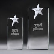 Award2nd2014.jpg