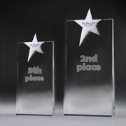 Award2nd2014