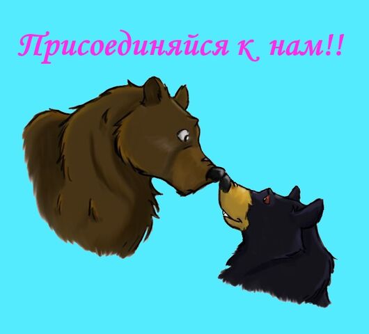 Файл:Вики1.jpg