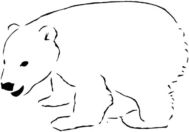 File:Polar-bear blank.jpg