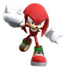 KnucklesRivals