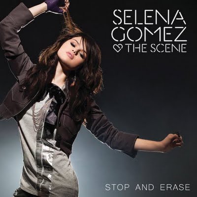File:Stop And Erase.jpg