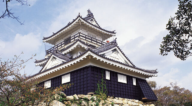 File:Hamamatsu Castle.jpg
