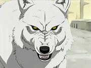 Kiba-wolfs-rain-4180850-640-480