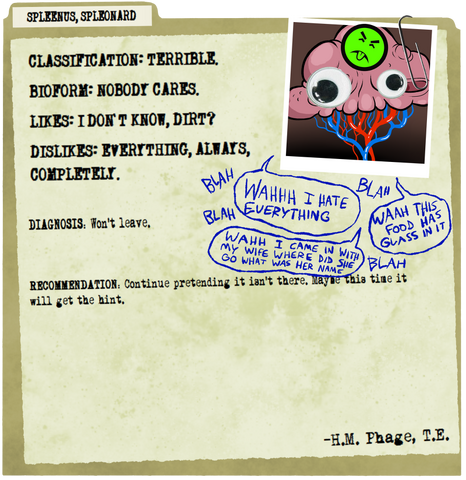 File:File-spleen.png