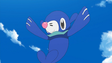 250px-Lana Popplio.png
