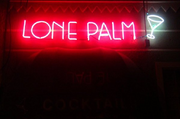 The Lone Palm