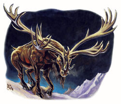 Animals12.jpg