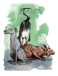 Animals5