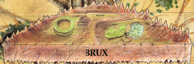 Brux.jpg