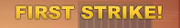 FS