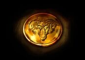 Gold coin