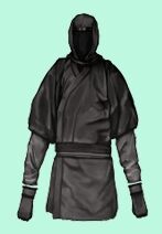 Ninja gi