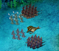 Cetus Formation