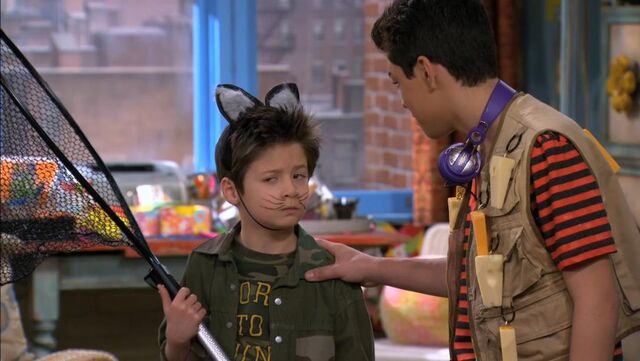 File:Wild It Up 22.jpg