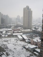 Snow-xuhui-kinggimped