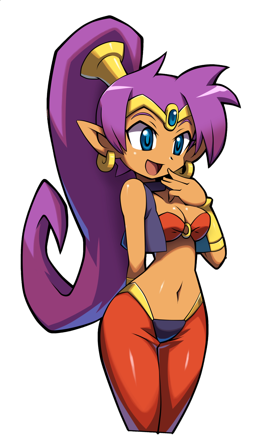 Pirate%27s_Curse_Shantae_Portrait.png