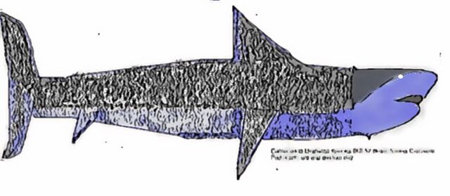 File:B4A11414-46BD-4113-9D1F-C6C3DEC3E1EC.jpg