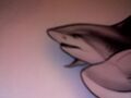 Thumbnail for version as of 17:28, May 17, 2012