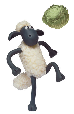 File:Shaun football.jpg