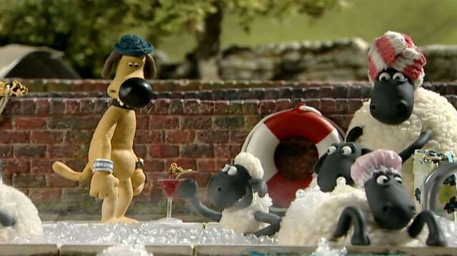 File:Shaun takes bath1.jpg
