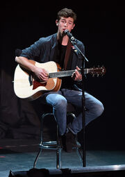 ShawnPerforming