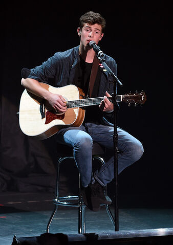 File:ShawnPerforming.jpg