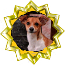 File:Badge-edit-7.png