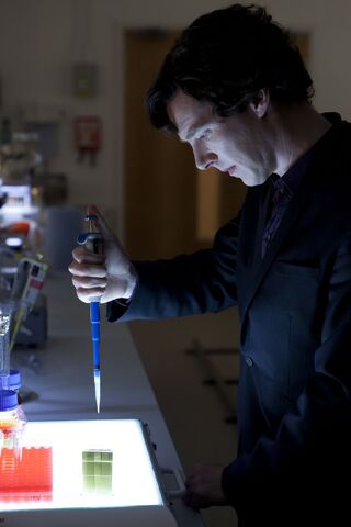 Archivo:Sherlock 001.jpg