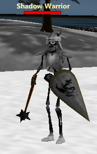 Shadow warrior