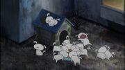 미래의 흰둥이.jpg