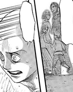Familia Springer.png