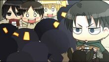 Levixxx.jpg