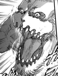 Galliard's Jaw Close Up.jpg