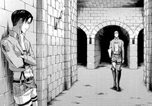 Erwinxlevi18.jpg
