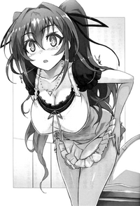 Vol1 17