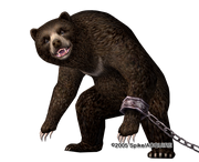 Kuma