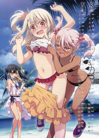 Файл:Fate.kaleid.liner.PRISMA☆ILLYA.600.1401692.jpg