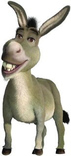 Burro.jpg