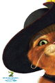 Thumbnail for version as of 06:17, January 20, 2012