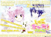 Shugo-chara-encore-1457114