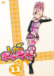DVD11