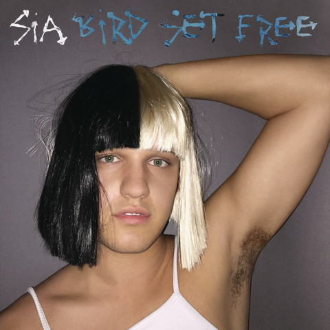 File:Bird Set Free cover.png