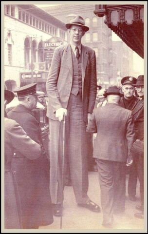 File:Wadlow20(448).jpg