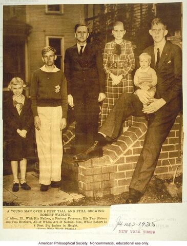 File:Wadlow18.jpeg