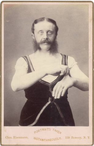 File:Wehrle2.png
