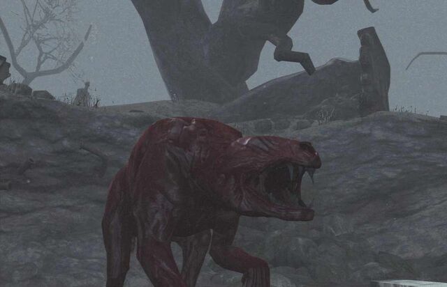 File:Feral snarling.jpg