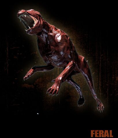 File:Feral.jpg