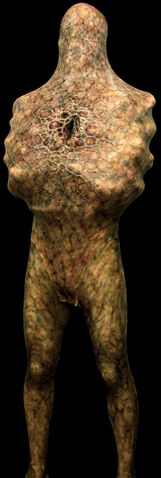 File:Armless Man Model.jpg